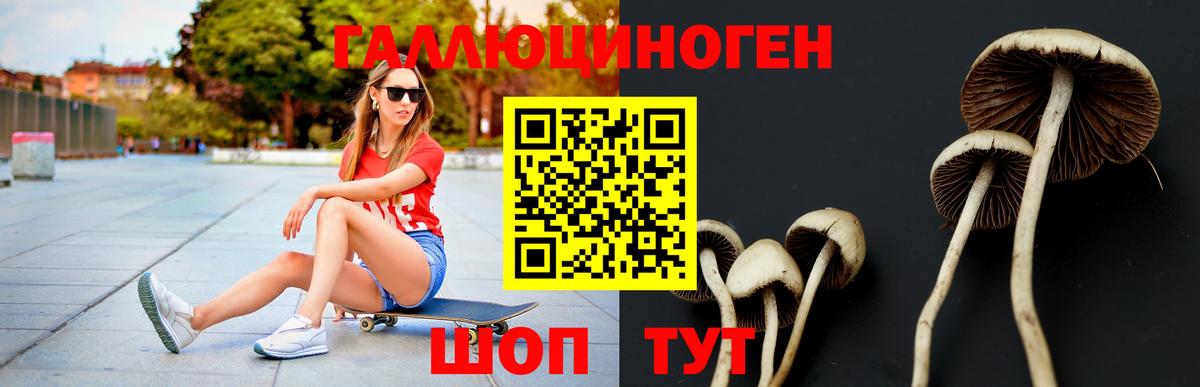 Галлюциногенные грибы Psilocybe  Галлюциногенные грибы Magic Shrooms  Мичуринск  Вход с VPN 
